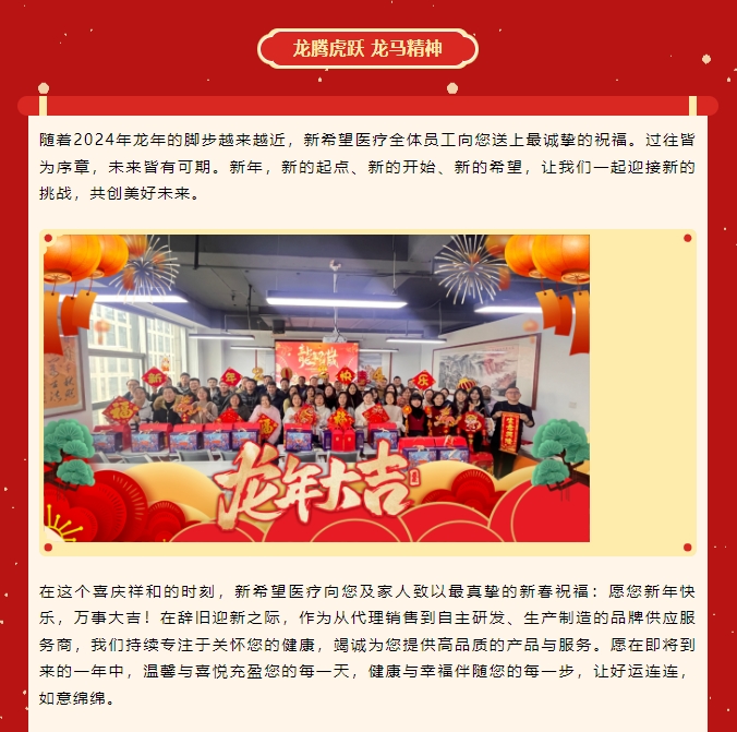 龍嘯新春，共赴新程